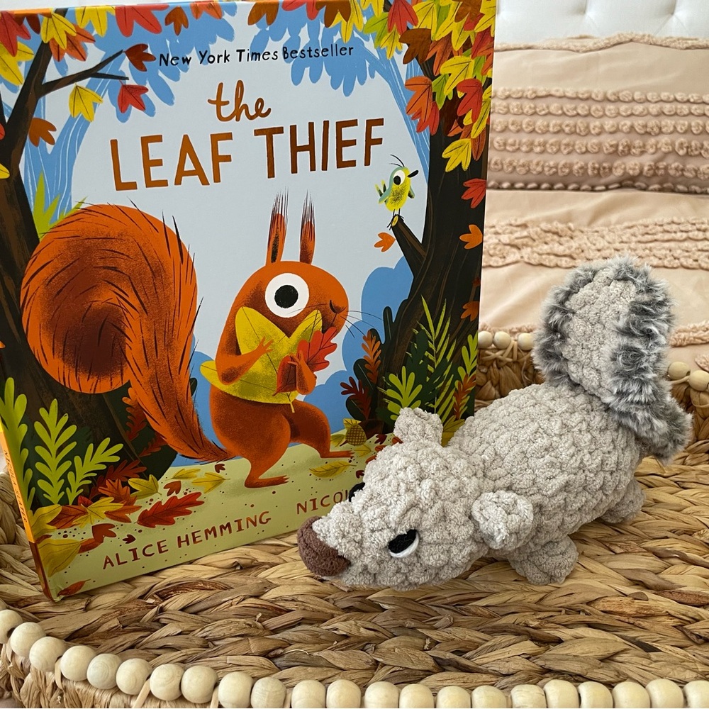 Handmade CROCHET SQUIRREL PLUSHIE TOY WITH BOOK SET, baby gift